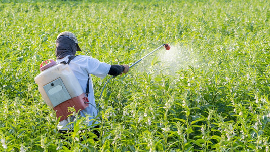 Hawaii Pesticide Hearing