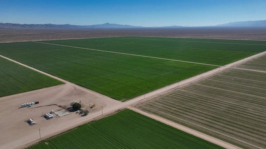Saudi Alfalfa Farming in Arizona