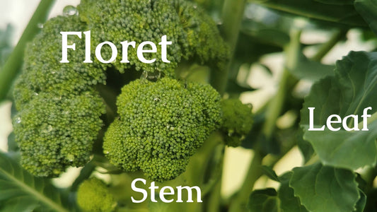 Stop Wasting Broccoli's Nutrients