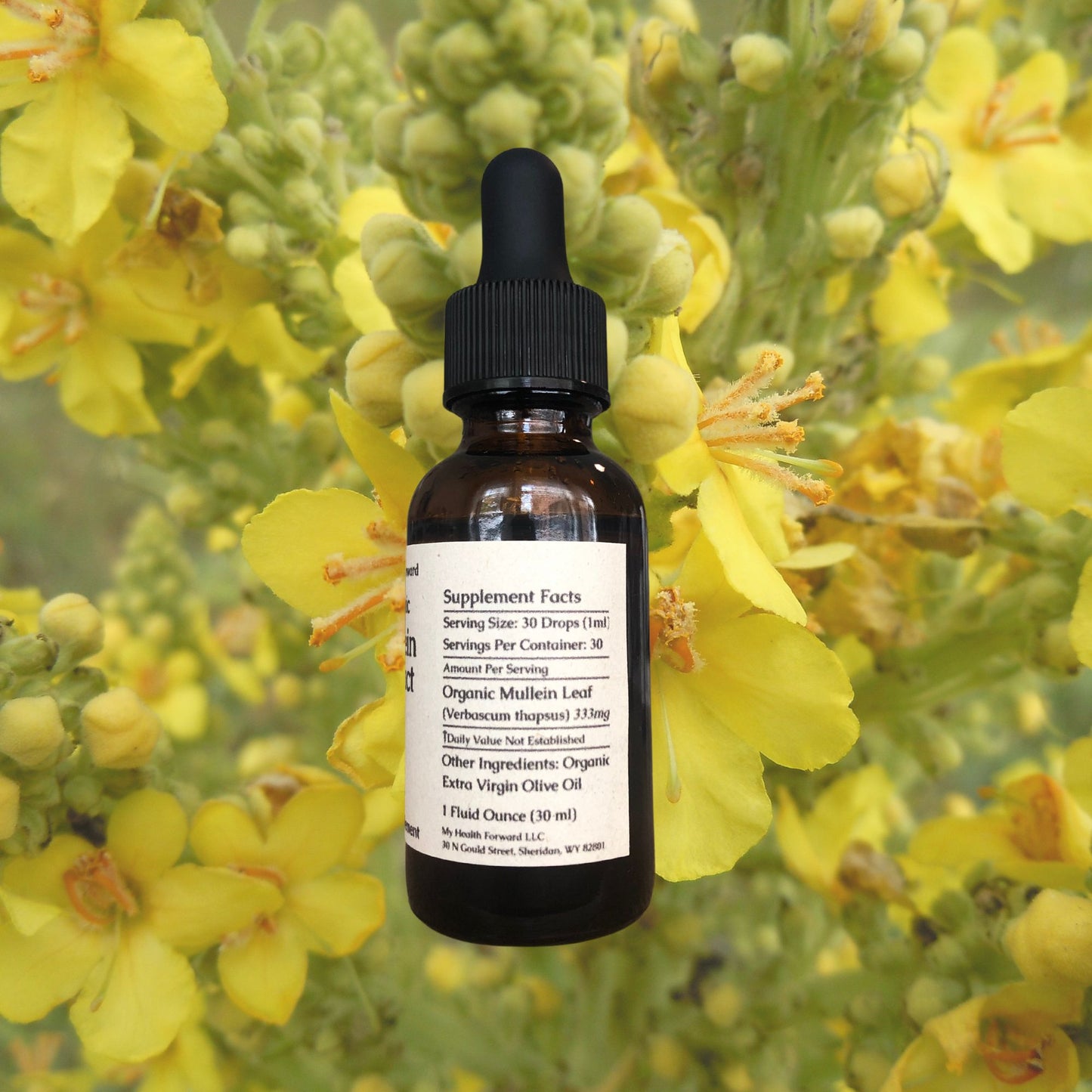 Organic Mullein Extract