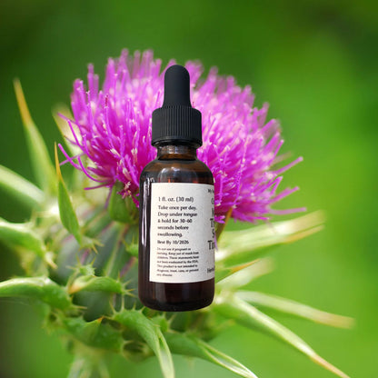 Organic Milk Thistle Tincture