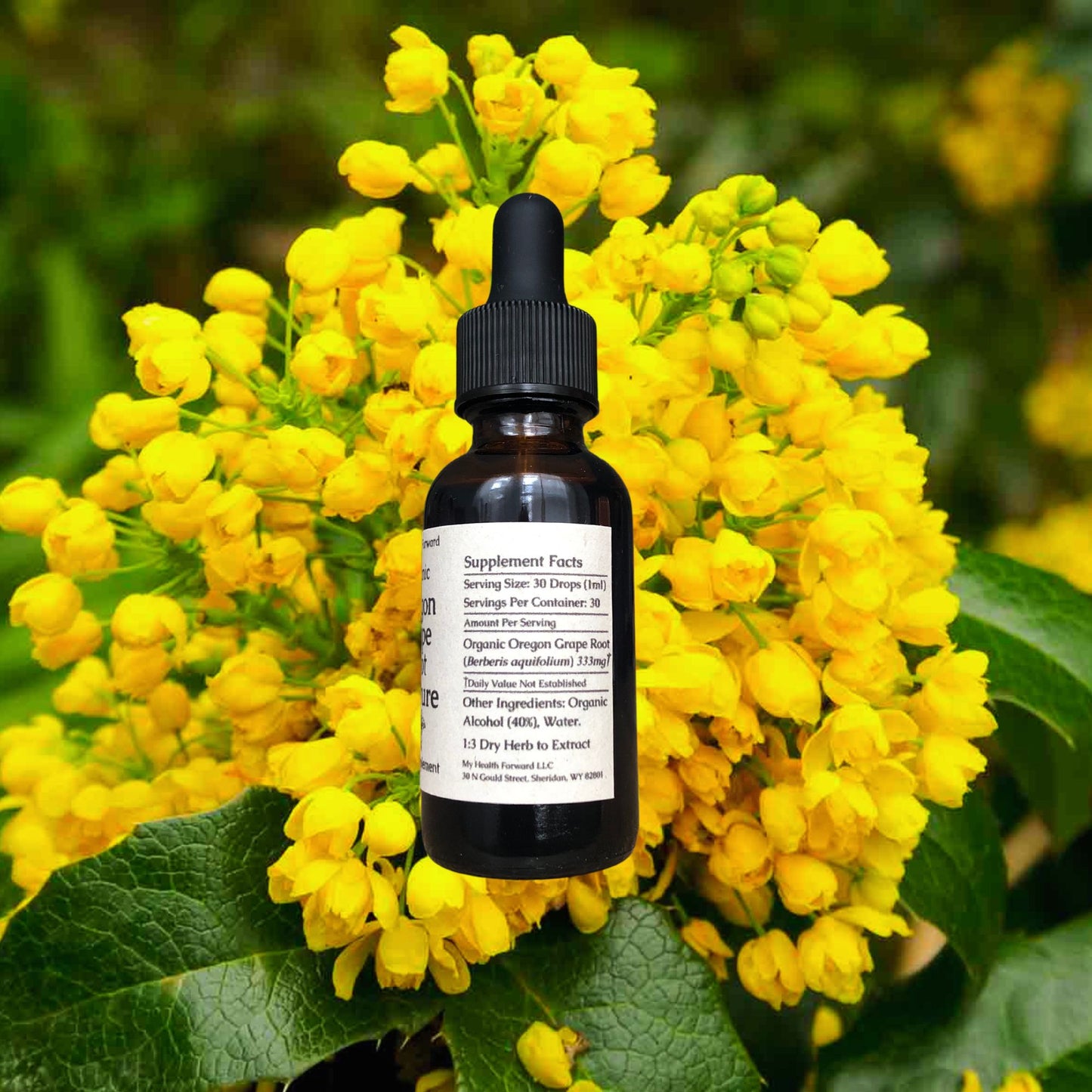 Organic Oregon Grape Root Tincture