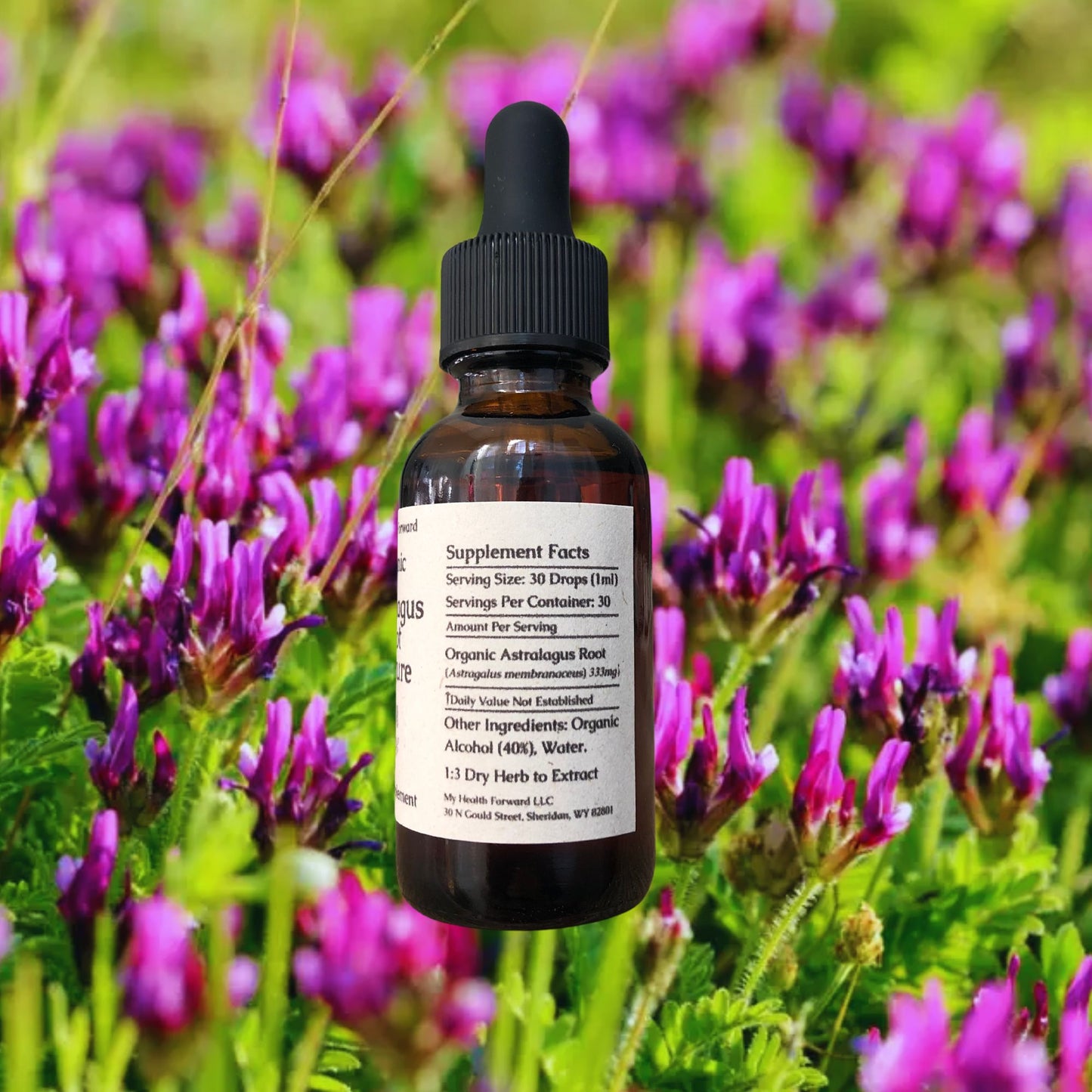 Organic Astralagus Root Tincture