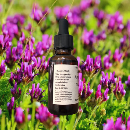 Organic Astralagus Root Tincture