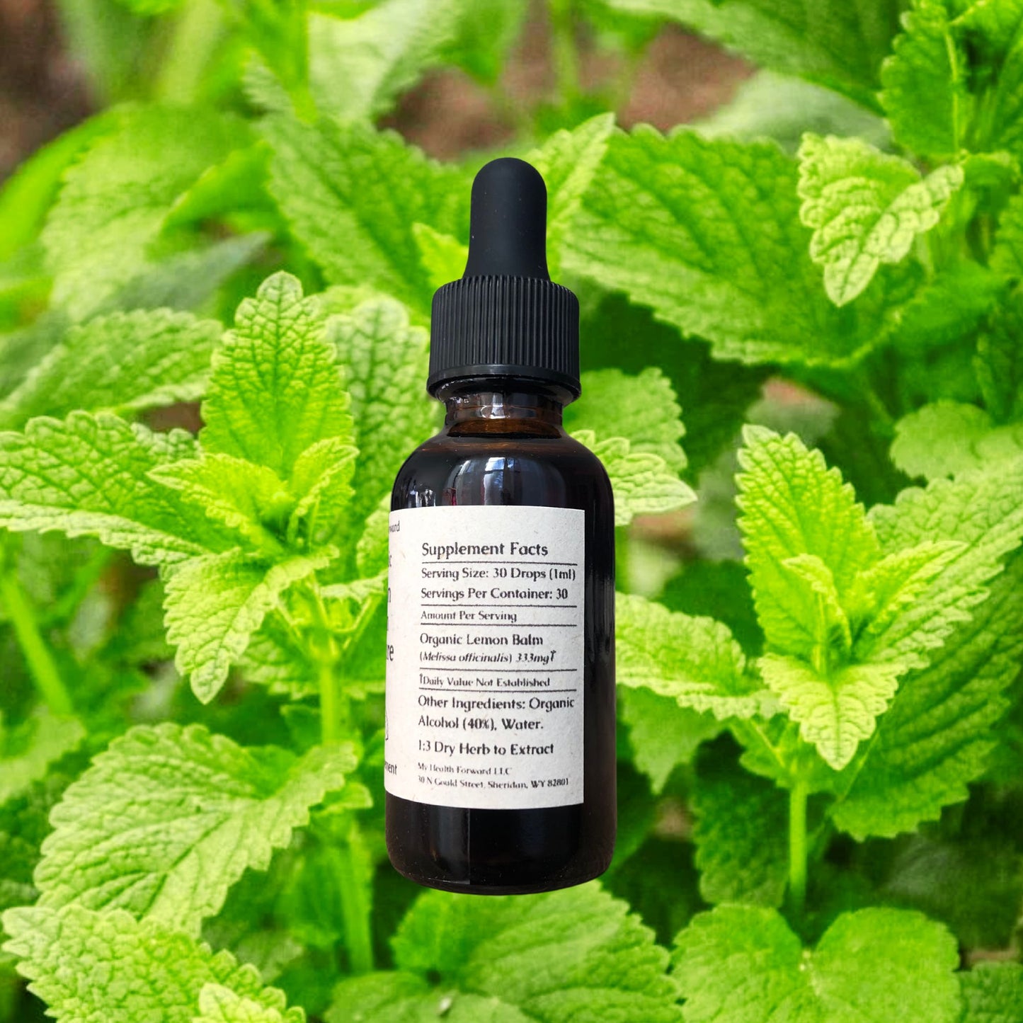 Organic Lemon Balm Tincture