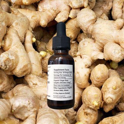 Organic Ginger Root Tincture