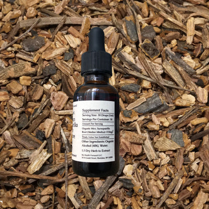 Organic Mexican Sarsaparilla Root Tincture