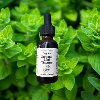 Organic Oregano Leaf Tincture