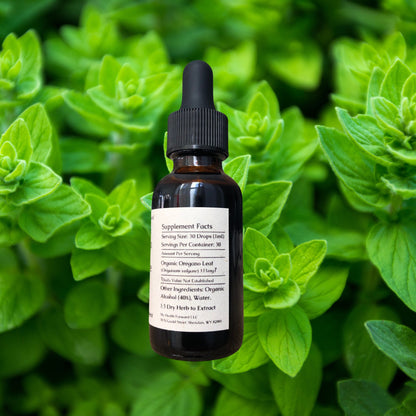 Organic Oregano Leaf Tincture