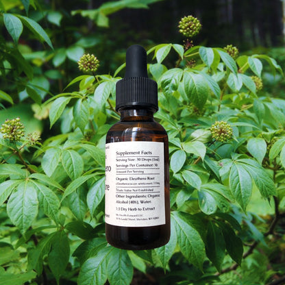 Organic Eleuthero Root Tincture