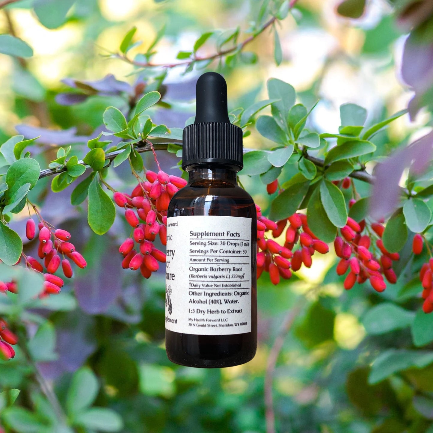 Organic Barberry Root Tincture