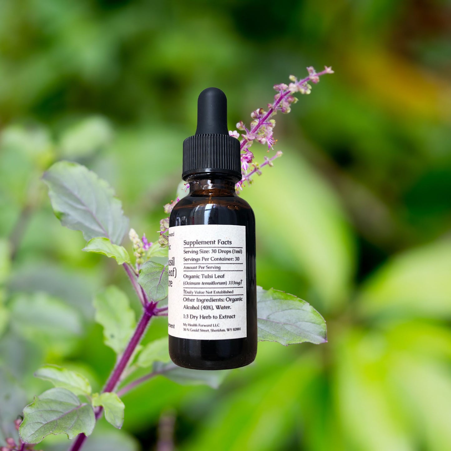 Organic Holy Basil (Tulsi Leaf) Tincture