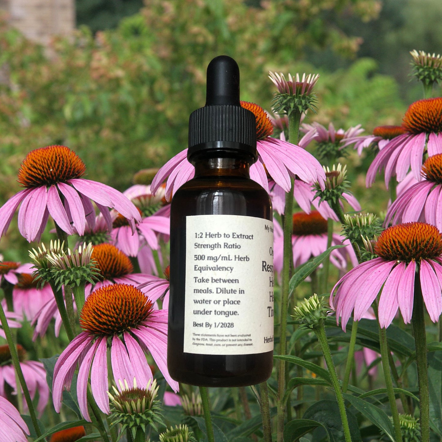 Organic Respiratory Health Tincture