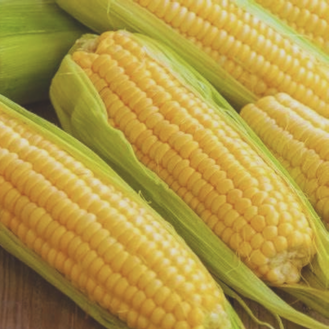 Corn Varieties – My Health Forward