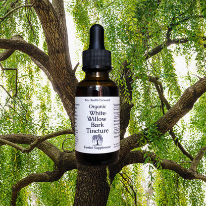 Organic White Willow Bark Tincture