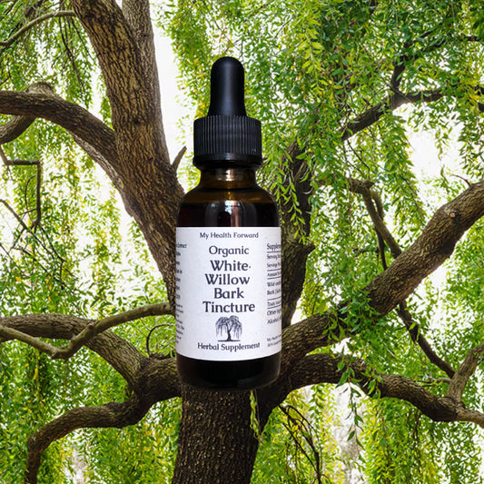 Organic White Willow Bark Tincture