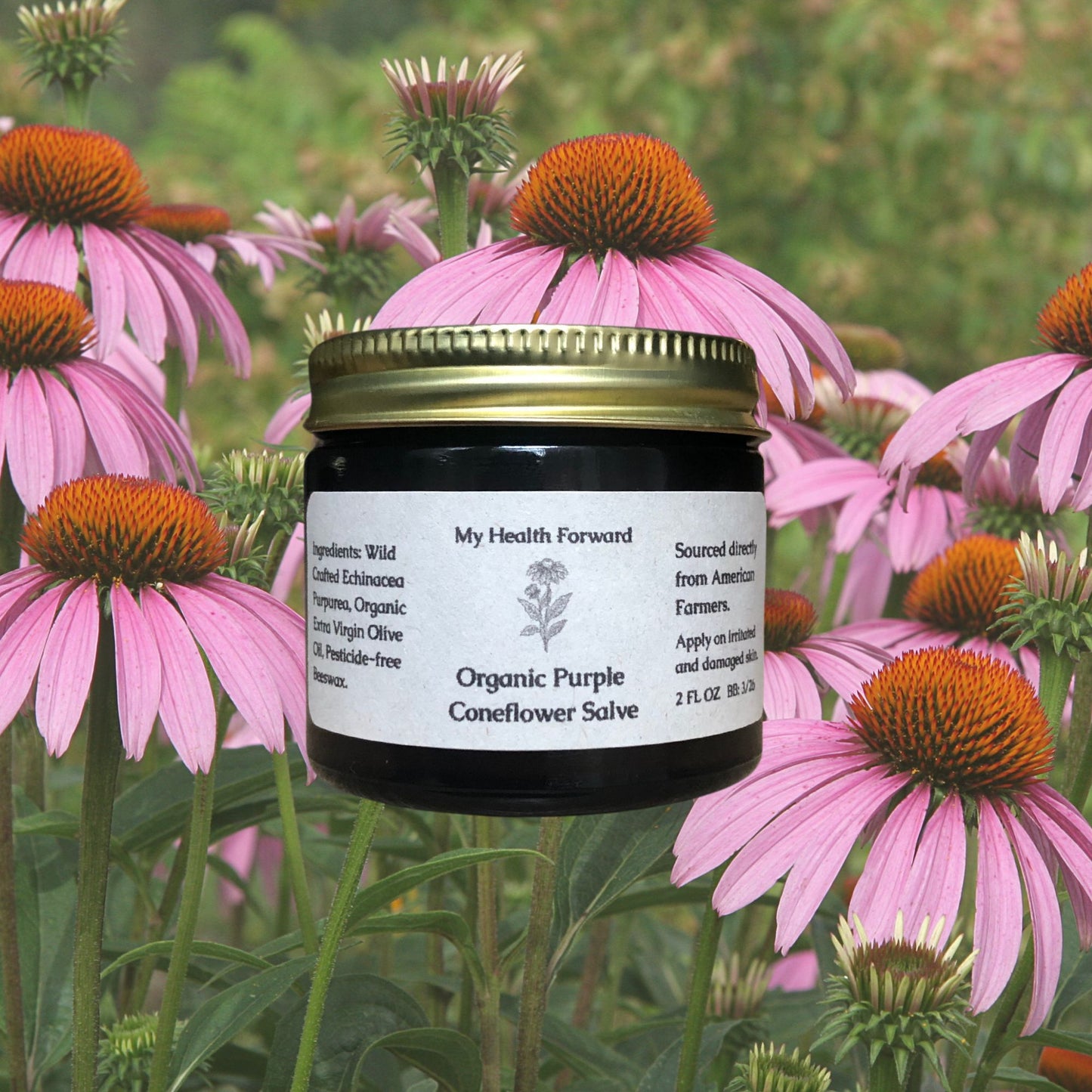 Organic Purple Coneflower Salve