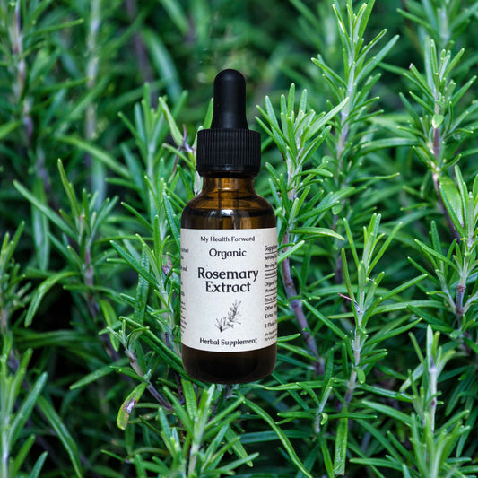 Organic Rosemary Hair Growth Extract