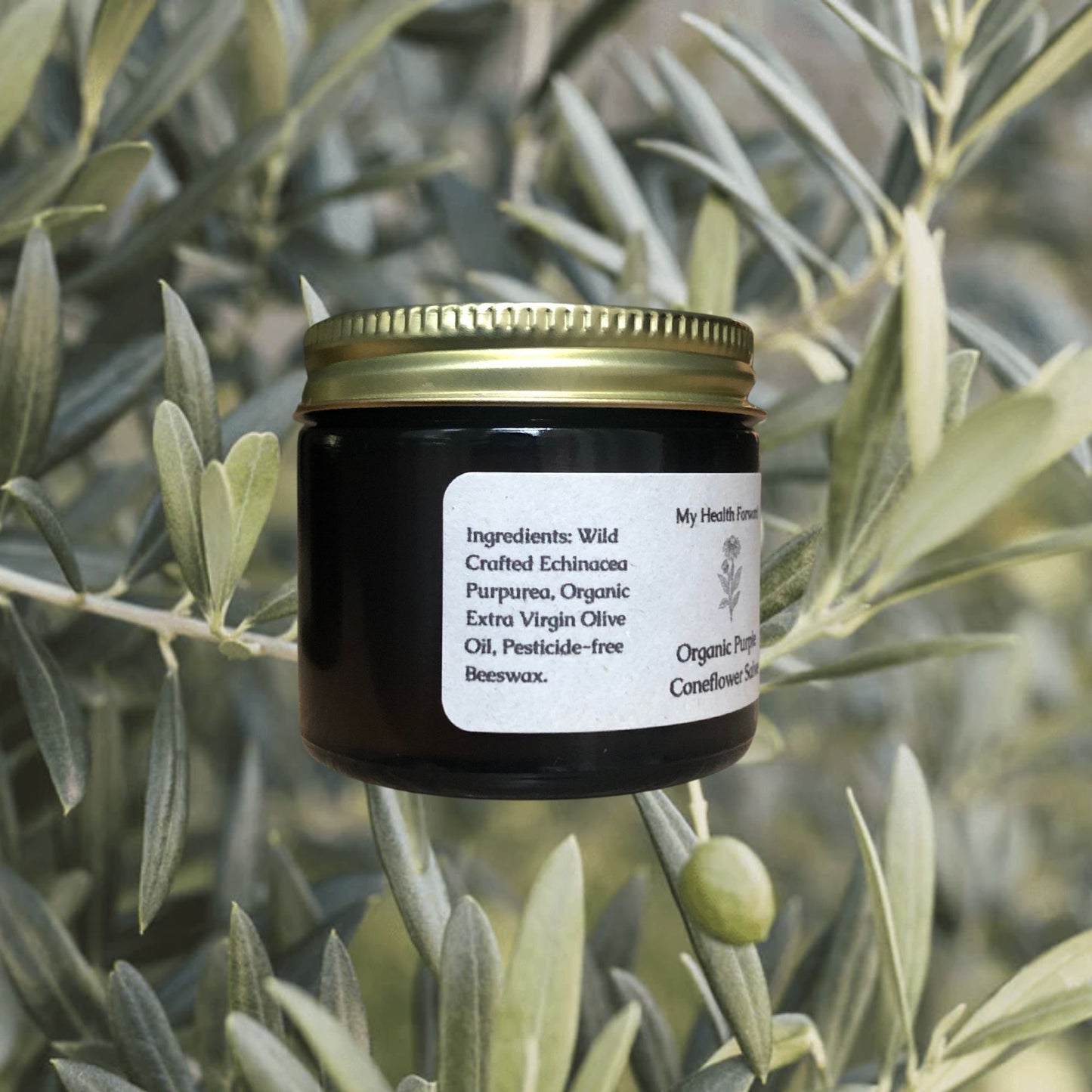 Organic Purple Coneflower Salve