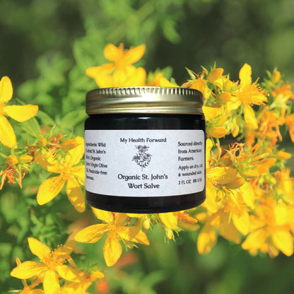 Organic St. John's Wort Salve