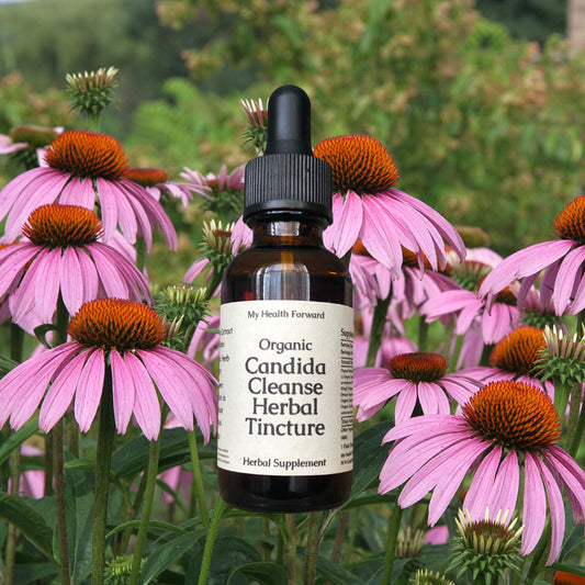 Organic Candida Cleanse Tincture