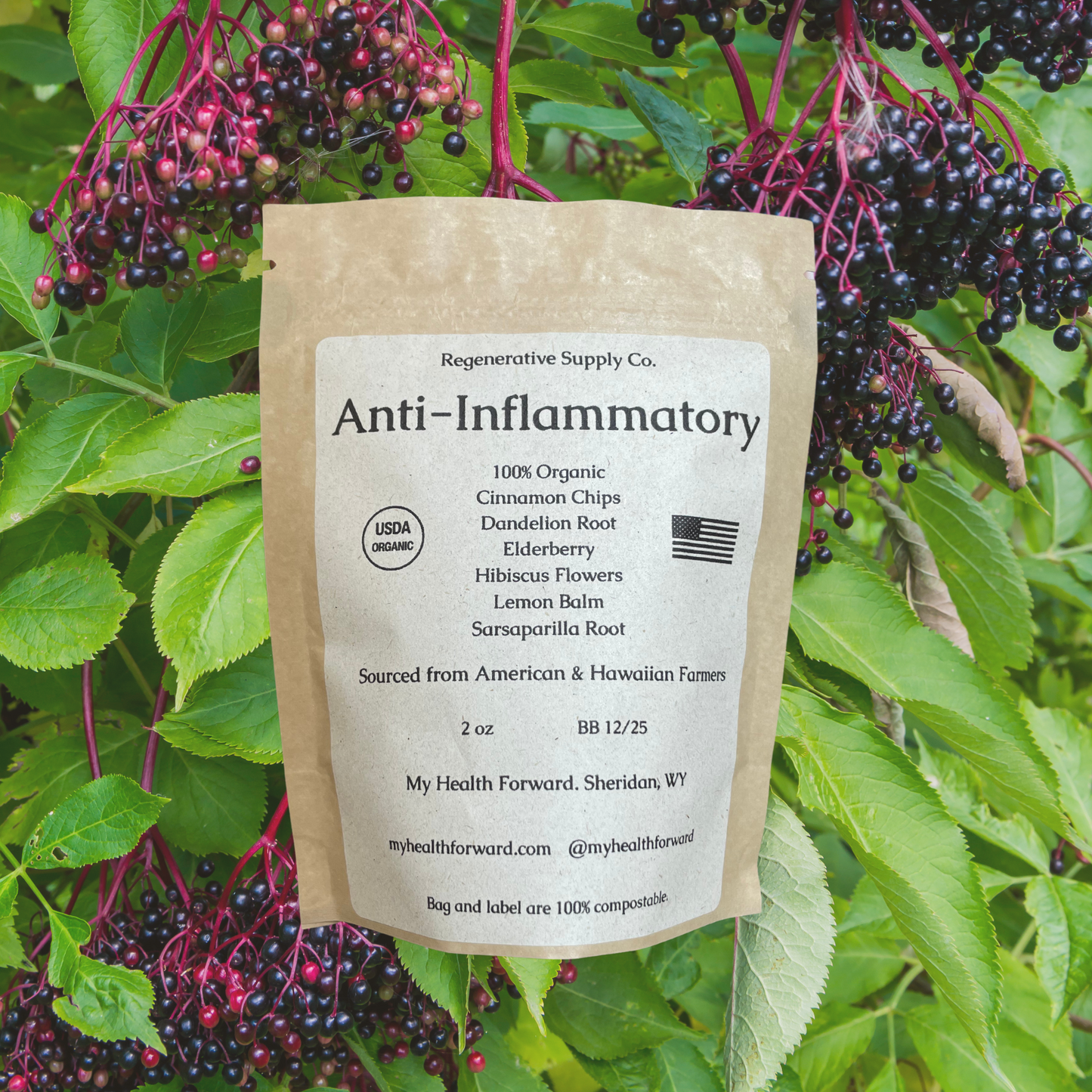 Anti-inflammatory Organic Herbal Tea Blend