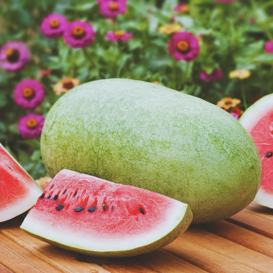 Charleston Gray Watermelon Seeds