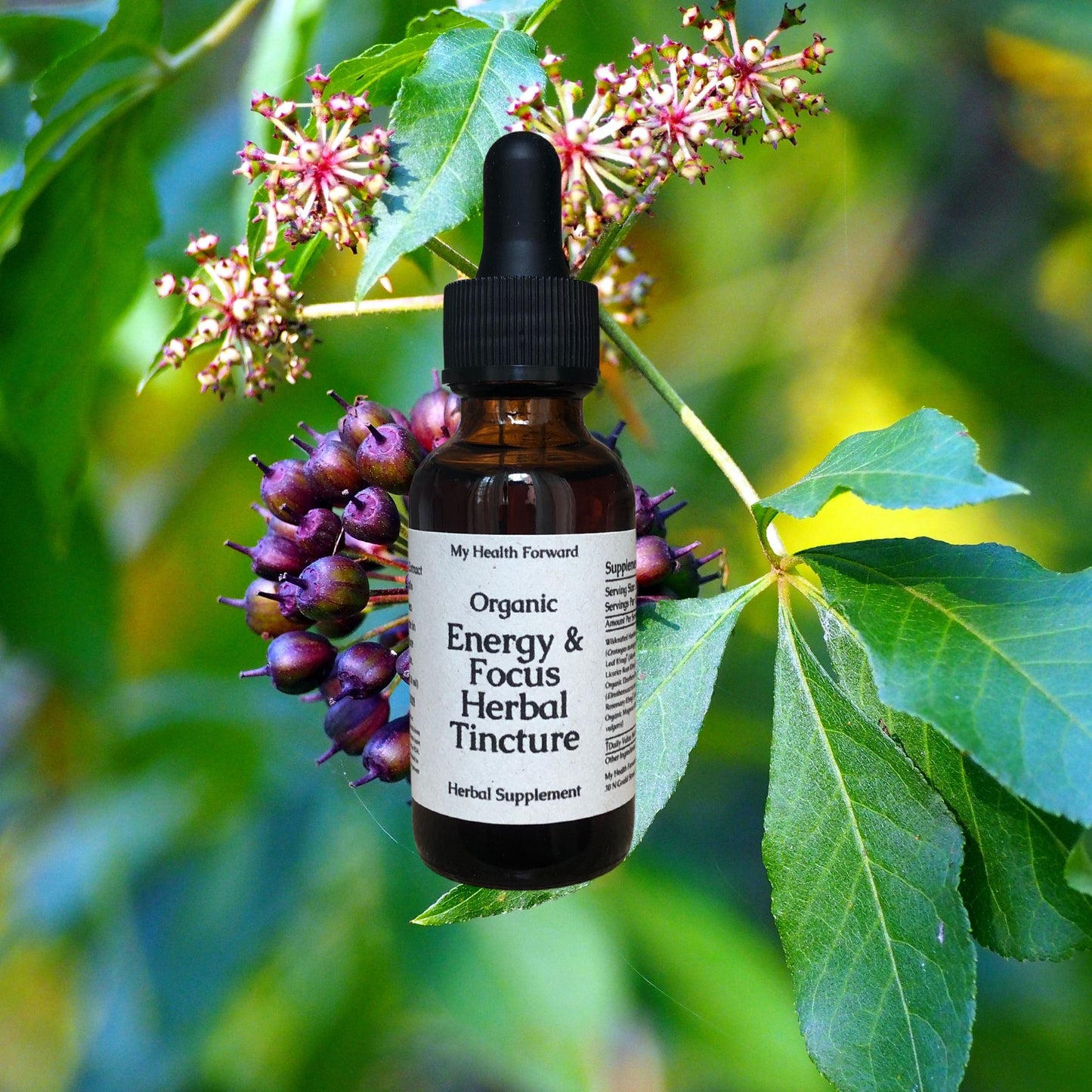 Organic Energy & Focus Herbal Tincture