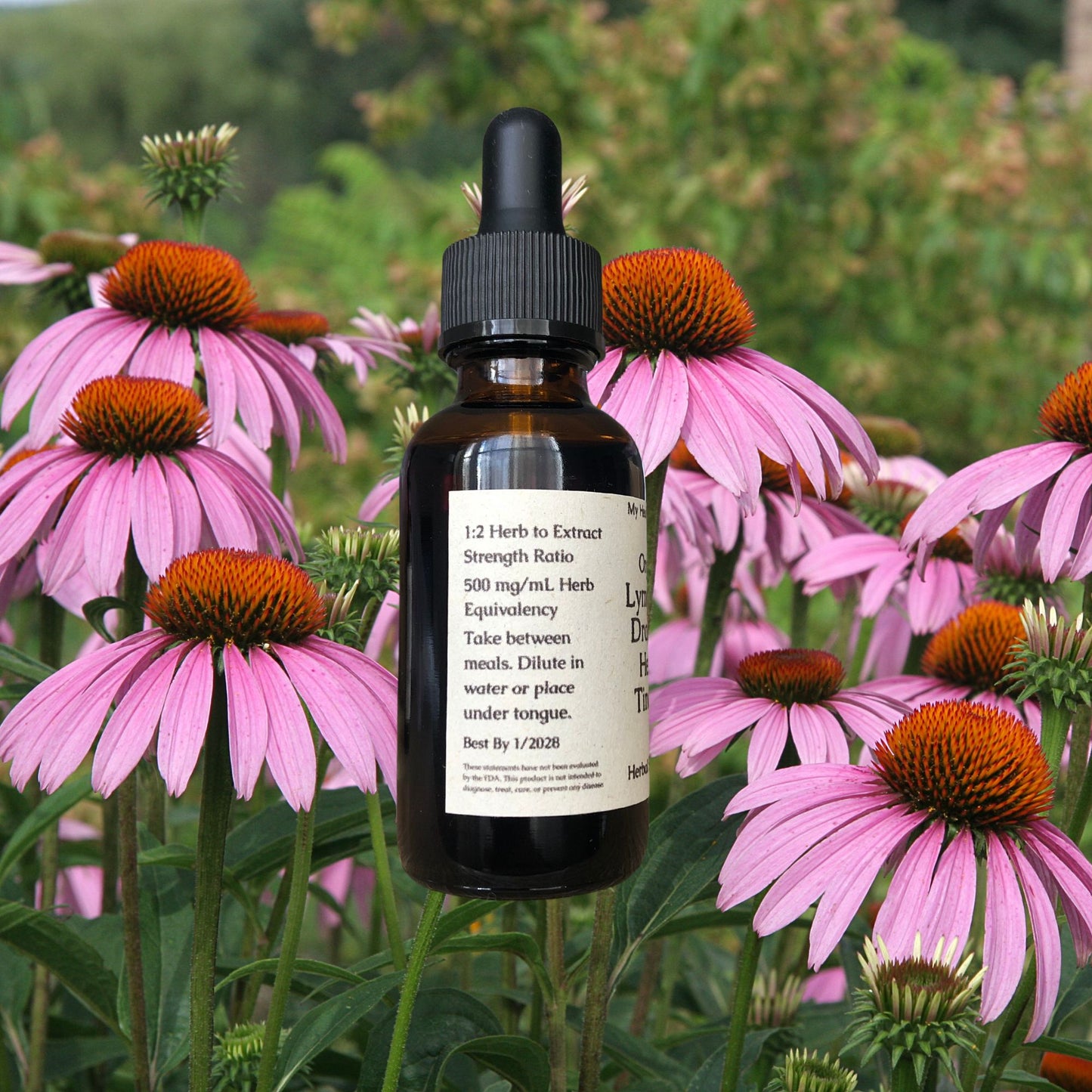 Organic Lymphatic Drainage Tincture