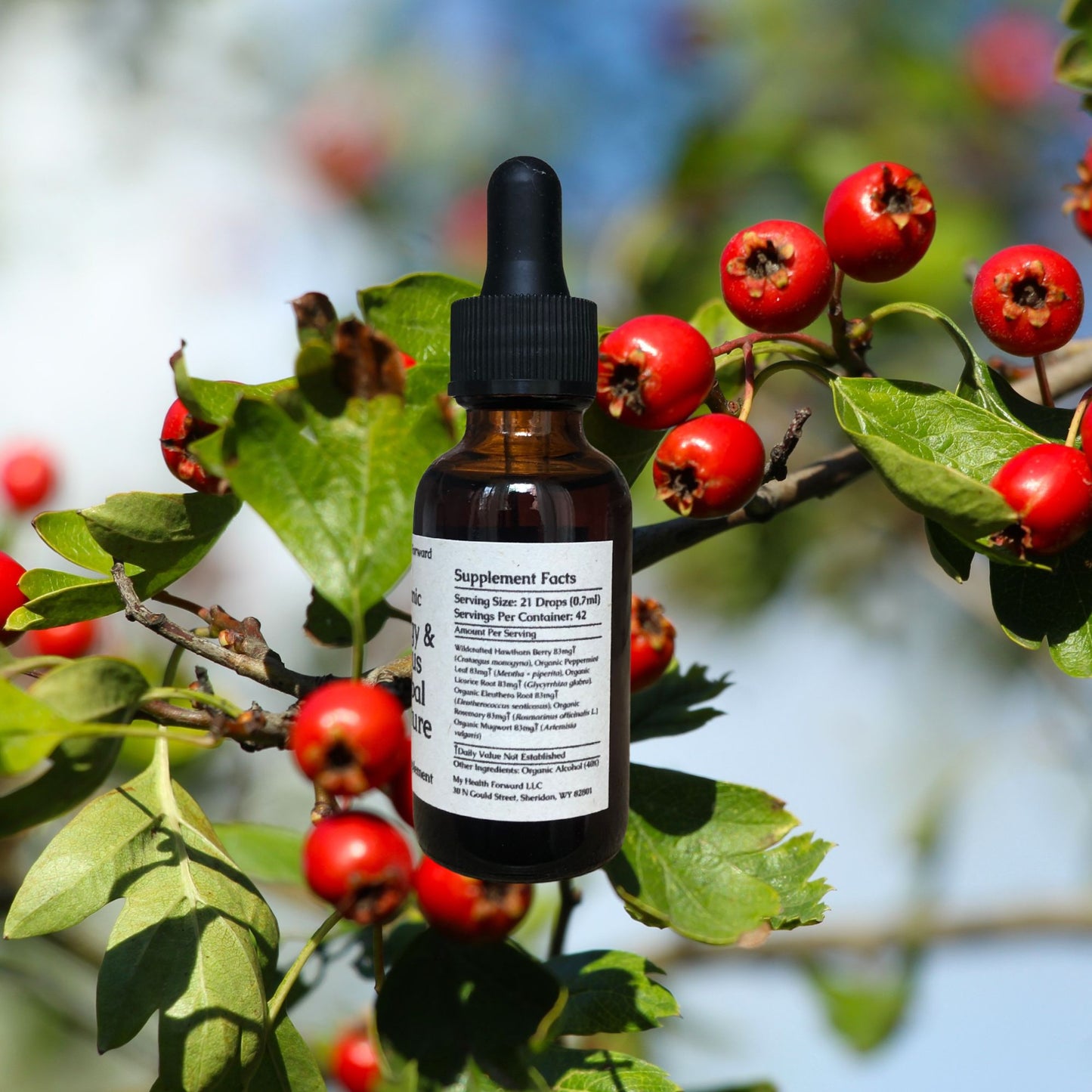 Organic Energy & Focus Herbal Tincture