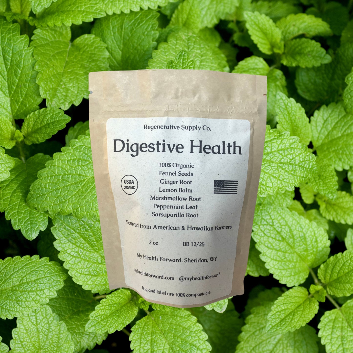 Digestive Health Organic Herbal Tea