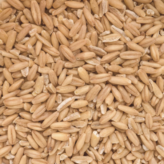 Grain Varieties – My Health Forward