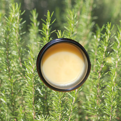 Tallow Herbal Healing Balm