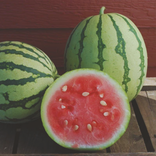 Dixie Queen Watermelon Seeds