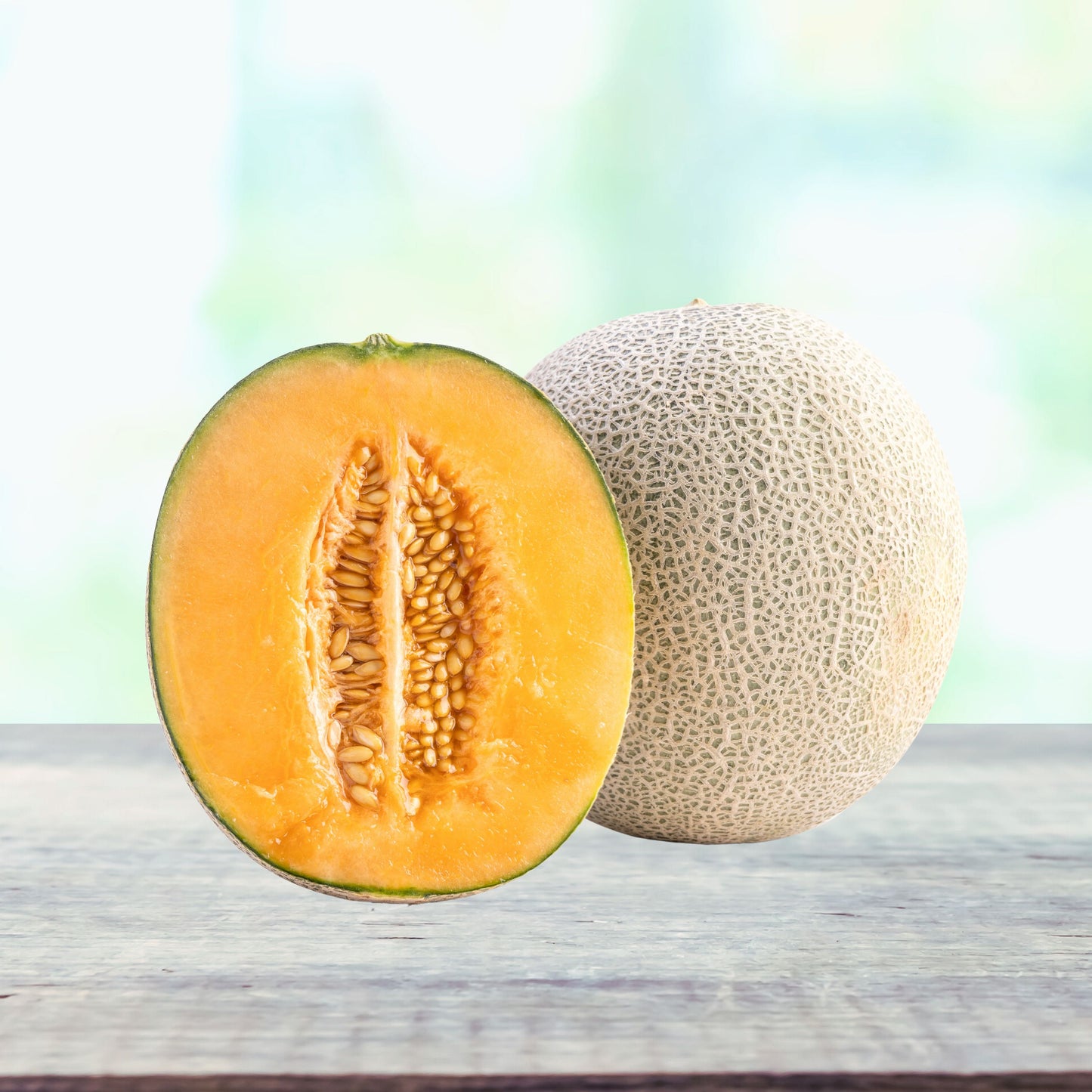 Hales Best Jumbo Cantaloupe Melon Seeds