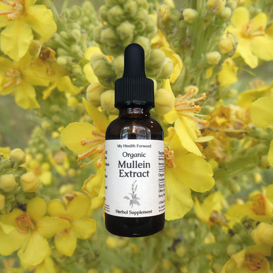 Organic Mullein Extract