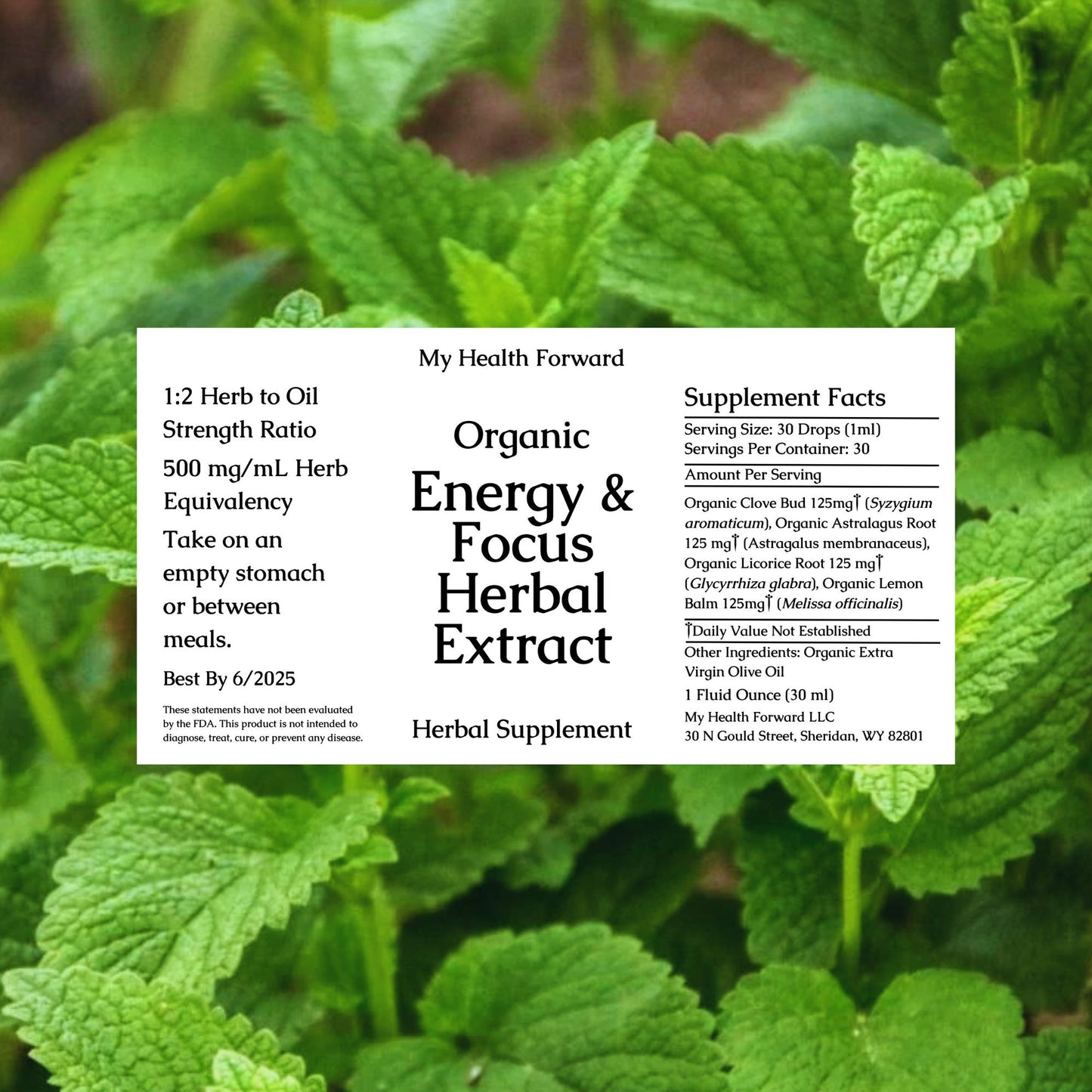 Organic Energy & Focus Herbal Extract