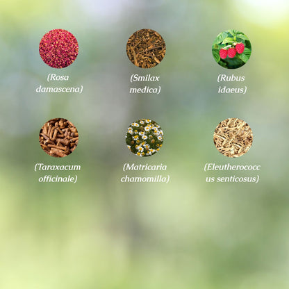 Adrenal Hormone Health Organic Herbal Tea