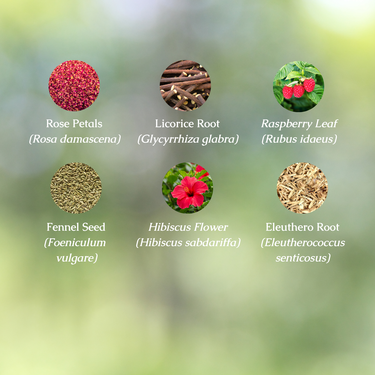 Adrenal Hormone Health Organic Herbal Tea