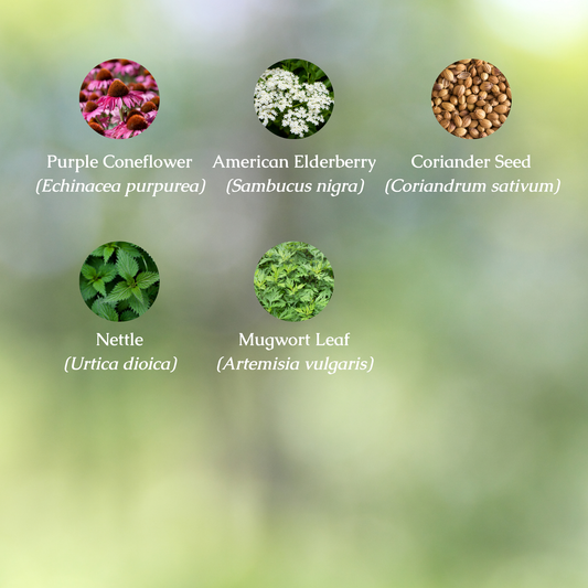 Organic Allergy Relief Herbal Tincture