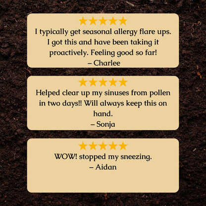 Organic Allergy Relief Herbal Tincture