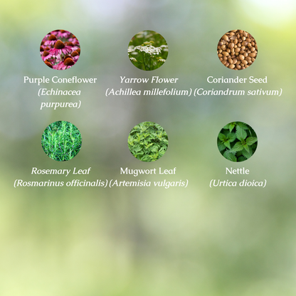 Allergy Relief Organic Herbal Tea