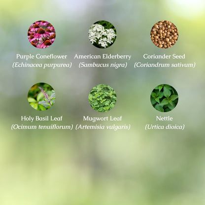 Organic Allergy Relief Herbal Tincture