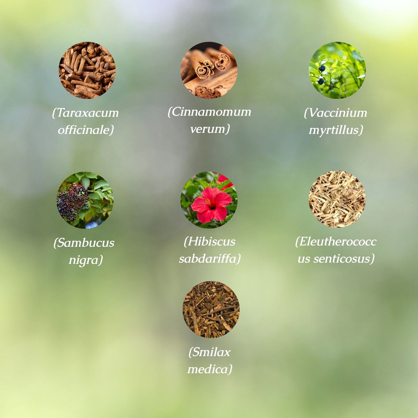 Anti-inflammatory Organic Herbal Tea