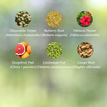 Organic Anti-inflammatory Herbal Tincture