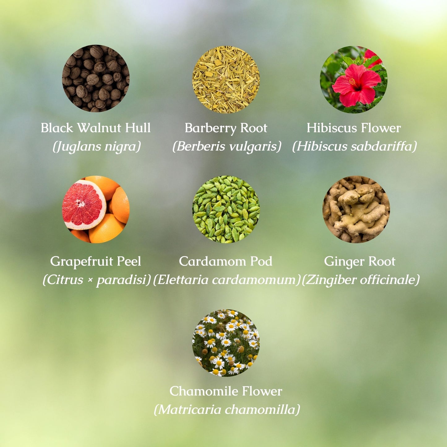 Organic Anti-inflammatory Herbal Tincture