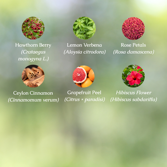 Organic Antioxidant Herbal Tea