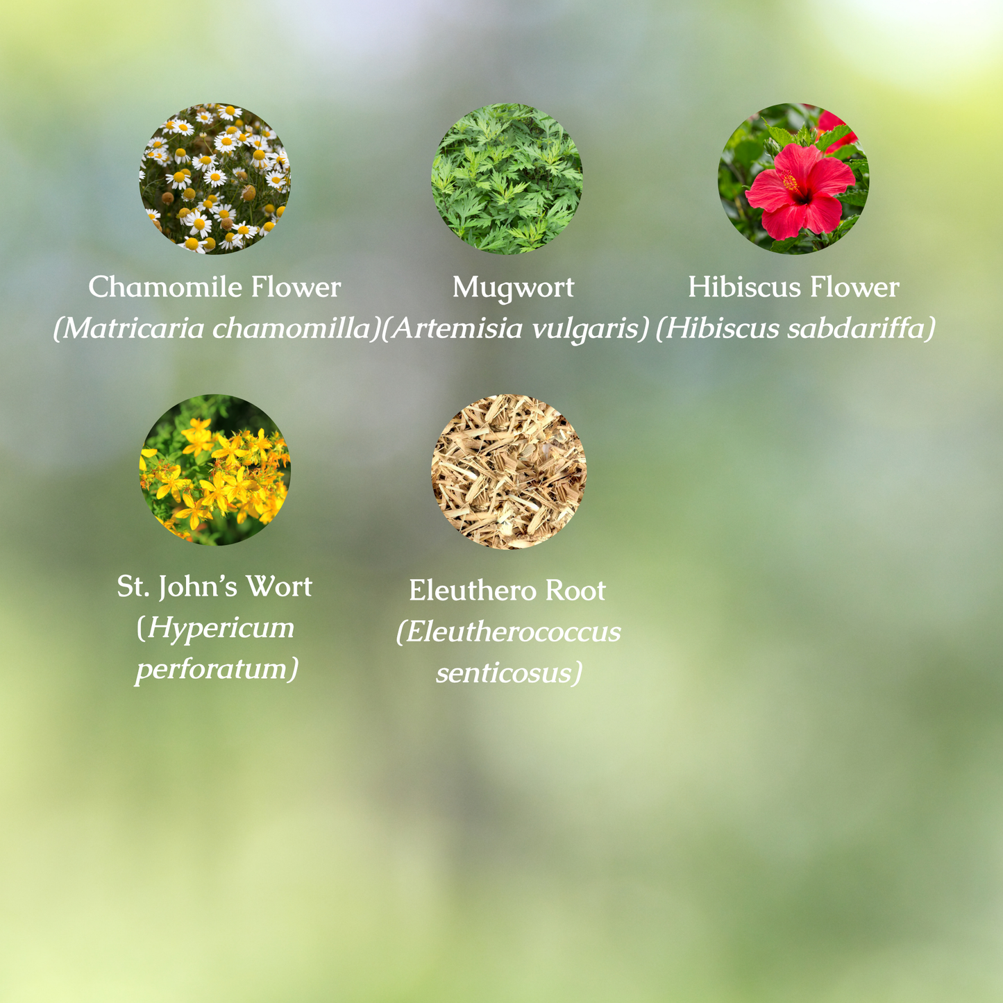 Organic Anxiety Relief Tincture