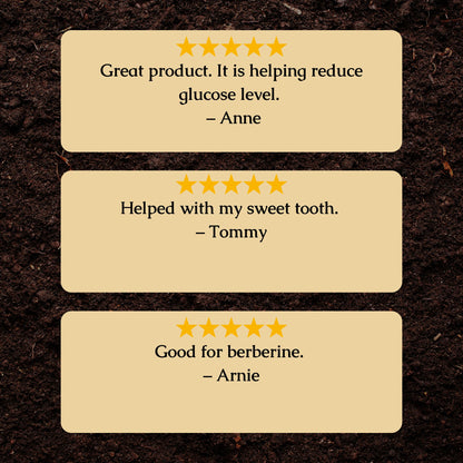 Organic Barberry Root Tincture