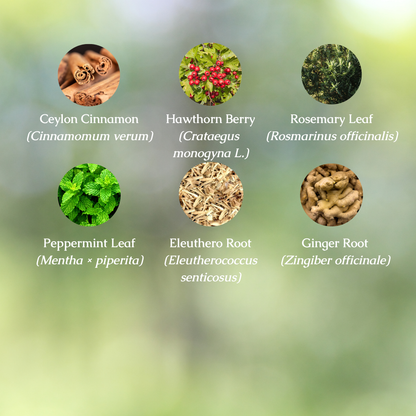Organic Brain Fog Herbal Tincture